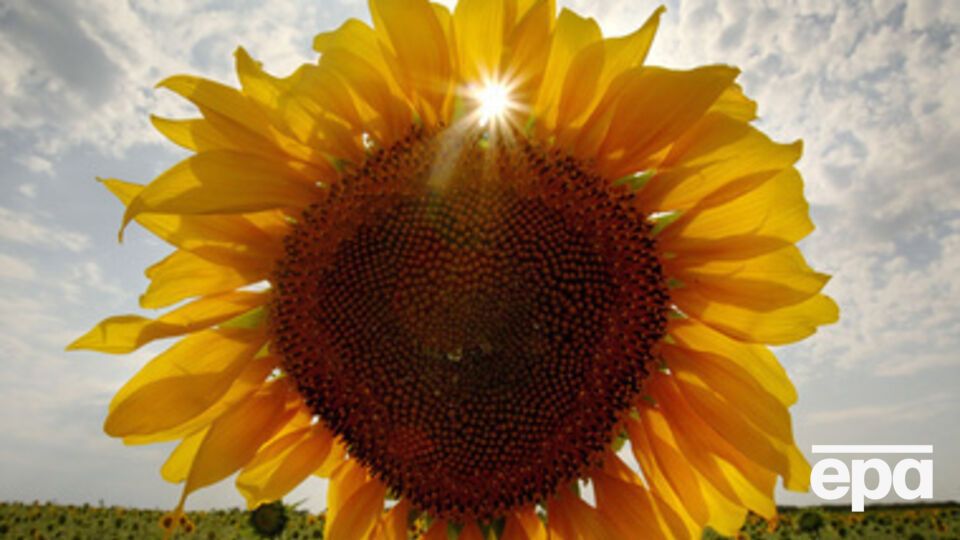 Жара возвращается