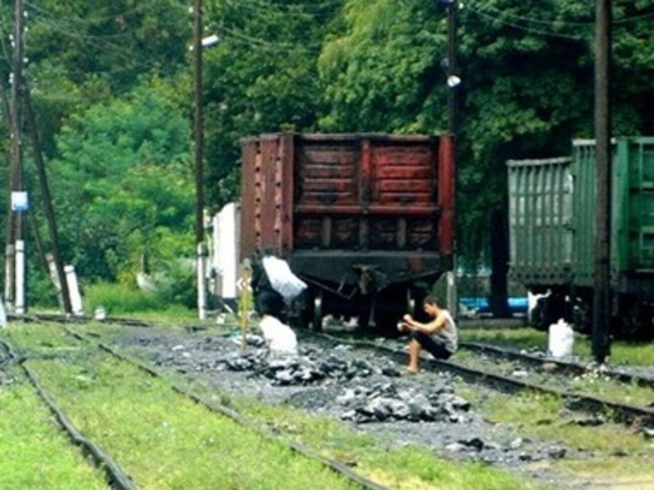 Донецкая железная дорога не отправляет грузовые составы более чем с 50 станций