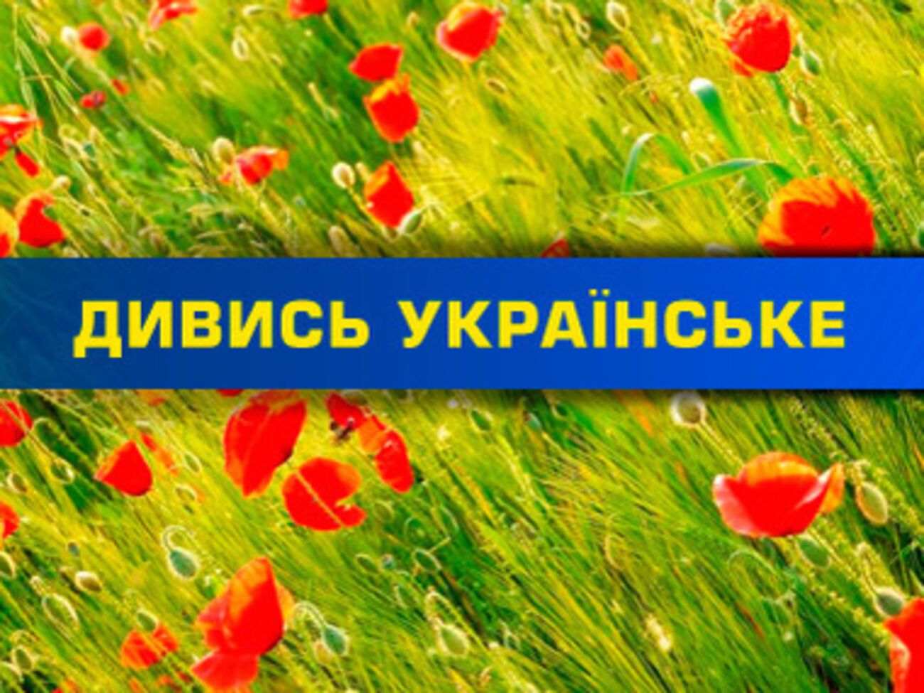 Украинское телевидение может снова появиться на оккупированном Россией полуострове
