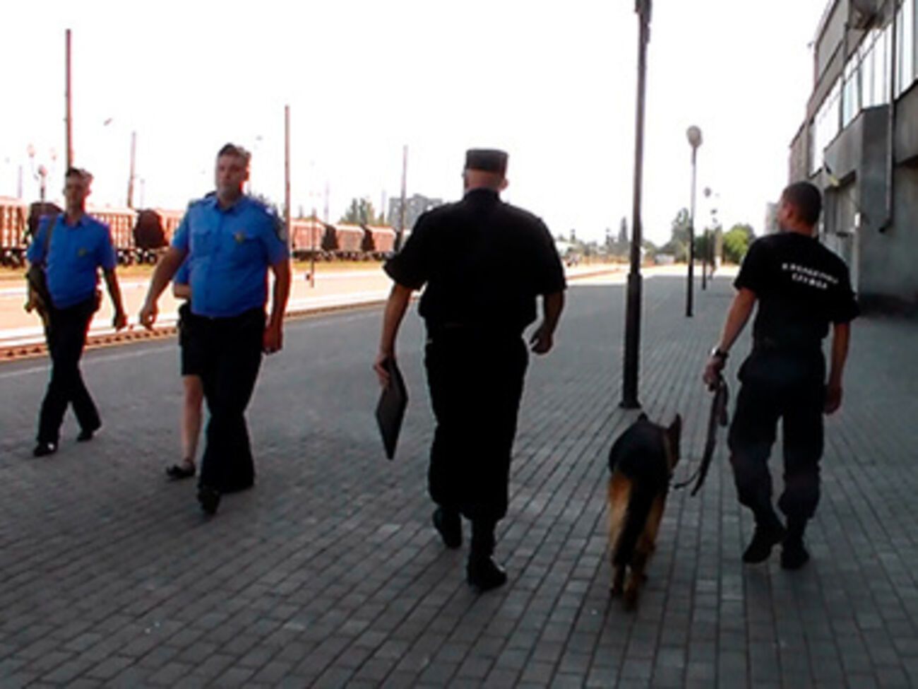 Вокзал и порт проверяли кинологи с собаками