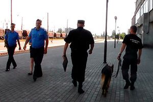 Вокзал и порт проверяли кинологи с собаками