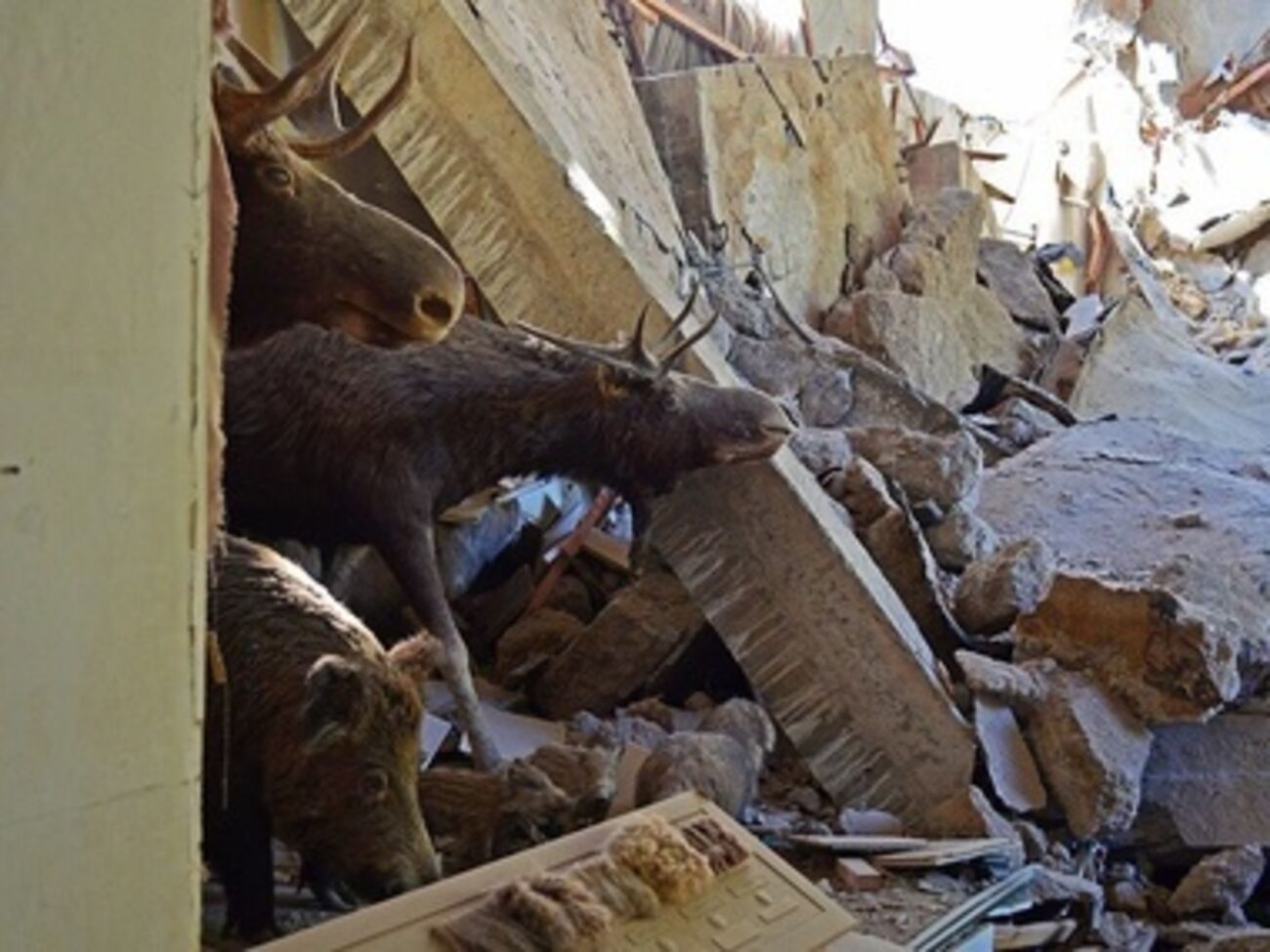 Донецкий краеведческий музей после артобстрела. Фоторепортаж