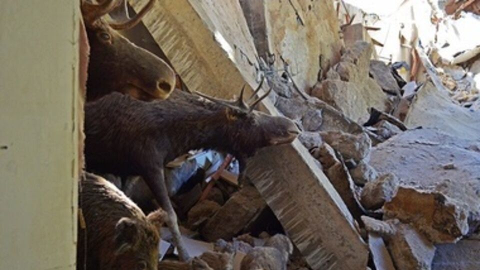 Донецкий краеведческий музей после артобстрела. Фоторепортаж