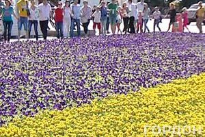 Флаг Украины площадью 800 м² состоит из 320 тысяч цветов