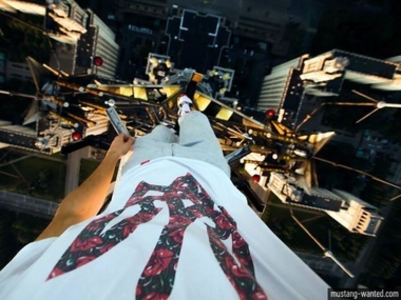 Мустанг продолжает исследовать московские крыши