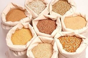 Украина сократила поставки продуктов питания в Россию на 34%, но наращивает экспорт в Китай