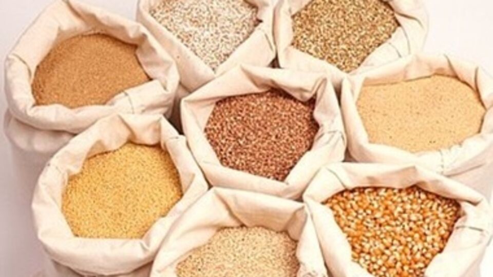 Украина сократила поставки продуктов питания в Россию на 34%, но наращивает экспорт в Китай