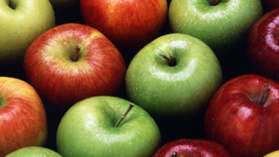 Польские яблоки попали под запрет российского "эмбарго" с 1 августа этого года