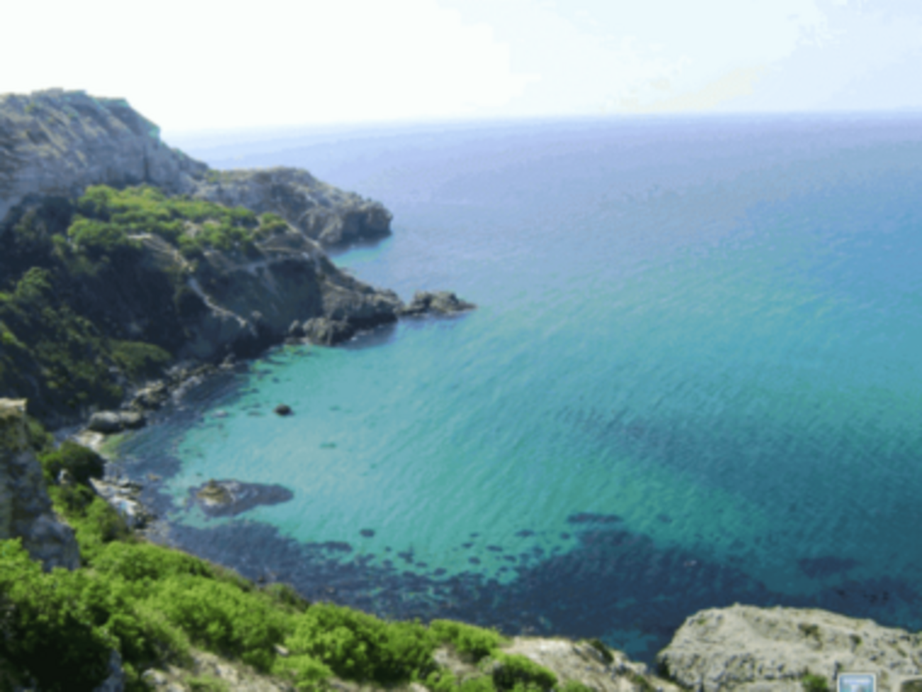 Казантипский заповедник могут пустить на выпас скота