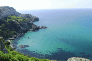 Казантипский заповедник могут пустить на выпас скота