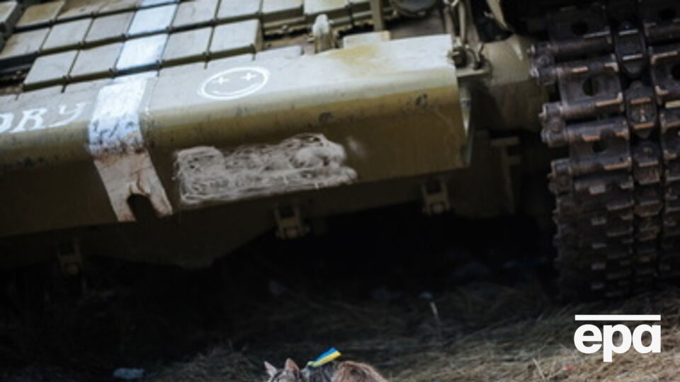 Террористы перешли в контрнаступление