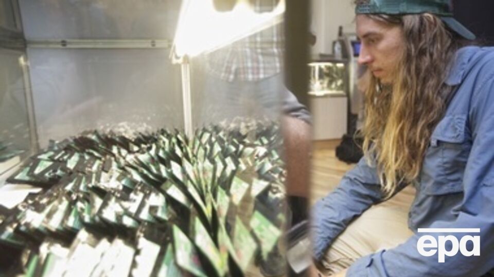 Марихуану в Нью-Йорке легализовали в прошлом месяце