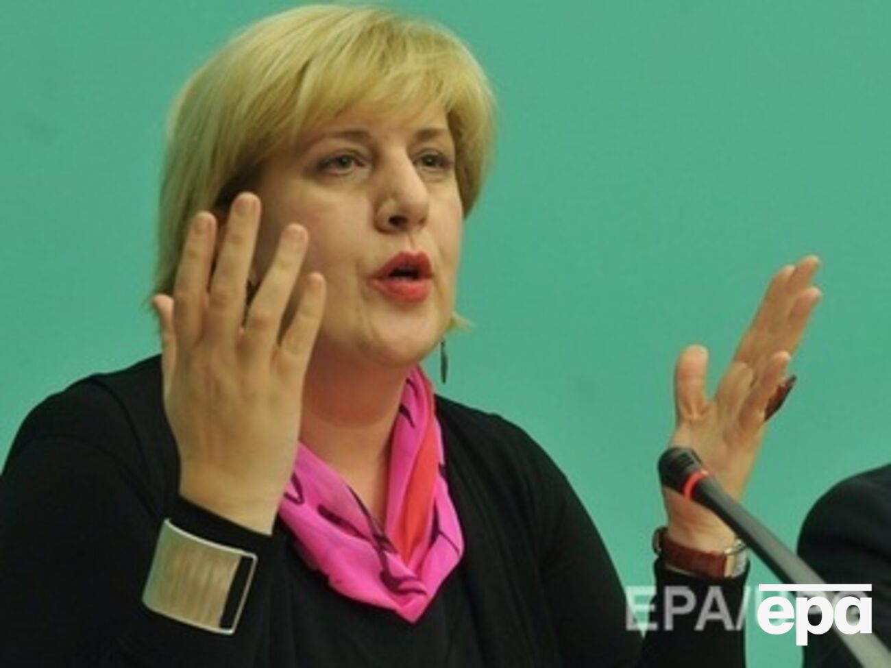 Миятович осудила арест имущества ТРК "Черноморская"