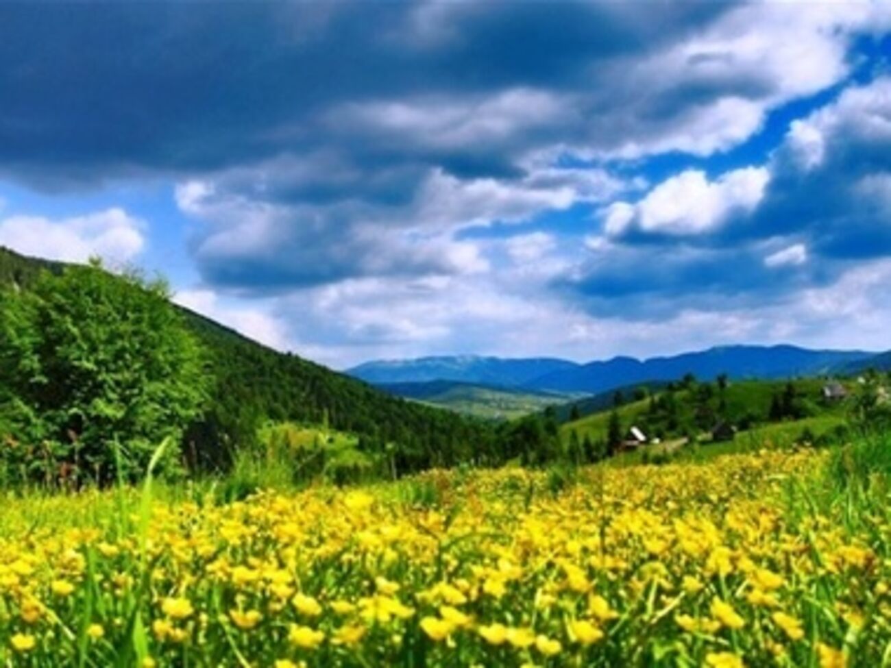 Турбизнес в западных регионах Украины выживает за счет внутреннего туризма