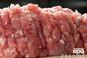 В Россельхознадзоре заявляют, что мясо перевозили без всей необходимой документации