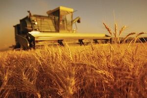 Специалистов аграрного предприятия мобилизуют в последнюю очередь