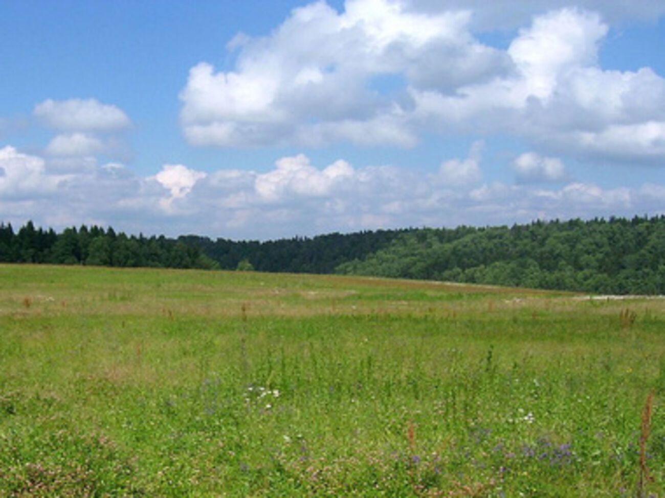 Семьям погибших на Майдане выделяют земельные участки