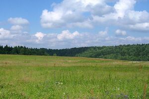 Семьям погибших на Майдане выделяют земельные участки