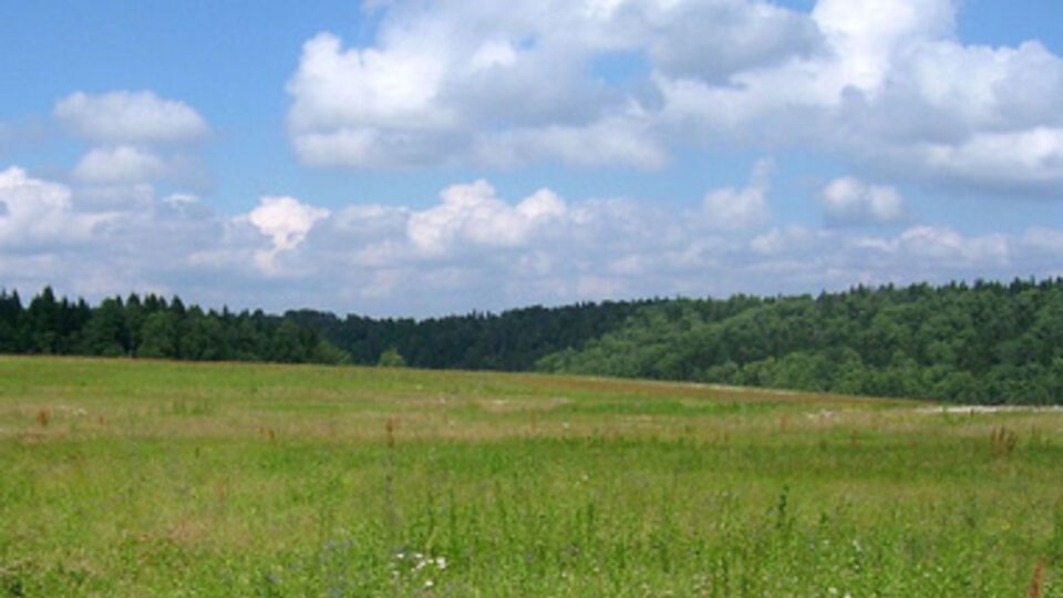 Семьям погибших на Майдане выделяют земельные участки