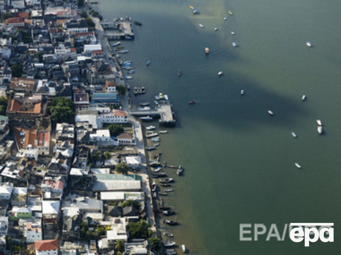 Питерская компания "Нордик Стар" приостановила деятельность