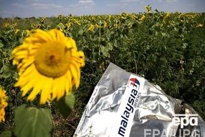 Самолет разбился 17 июля вблизи Тореза Донецкой области. Его обломки, тела пассажиров и их личные вещи разбросаны в радиусе нескольких десятков км от места авиакатастрофы