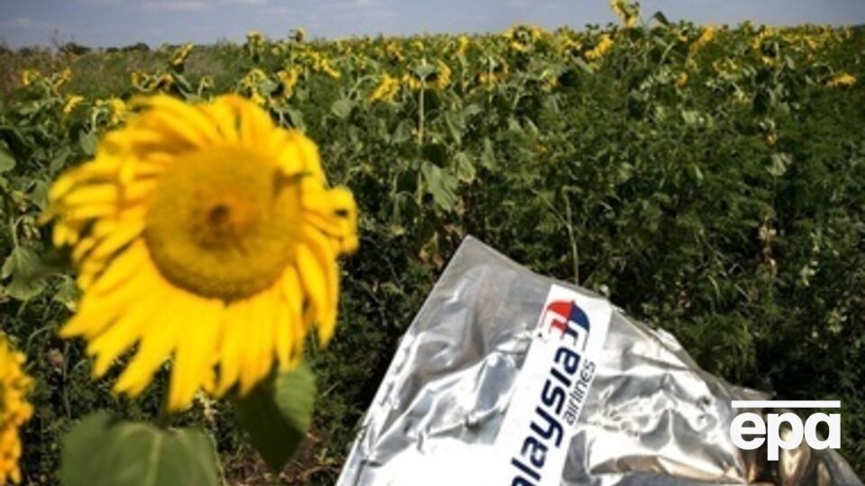 Самолет разбился 17 июля вблизи Тореза Донецкой области. Его обломки, тела пассажиров и их личные вещи разбросаны в радиусе нескольких десятков км от места авиакатастрофы