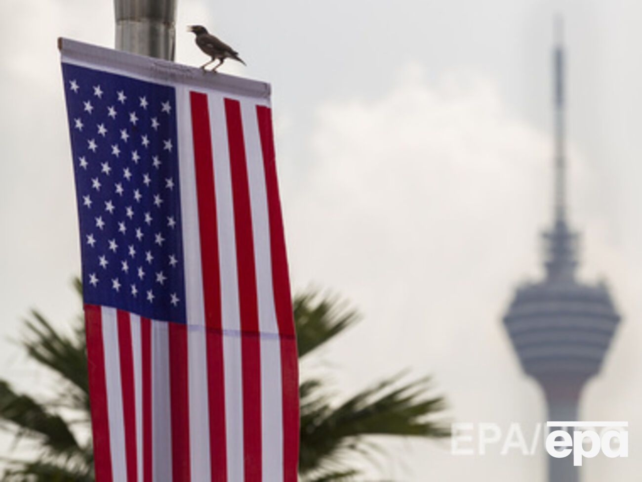 В США прокомментировали ответные санкции от России