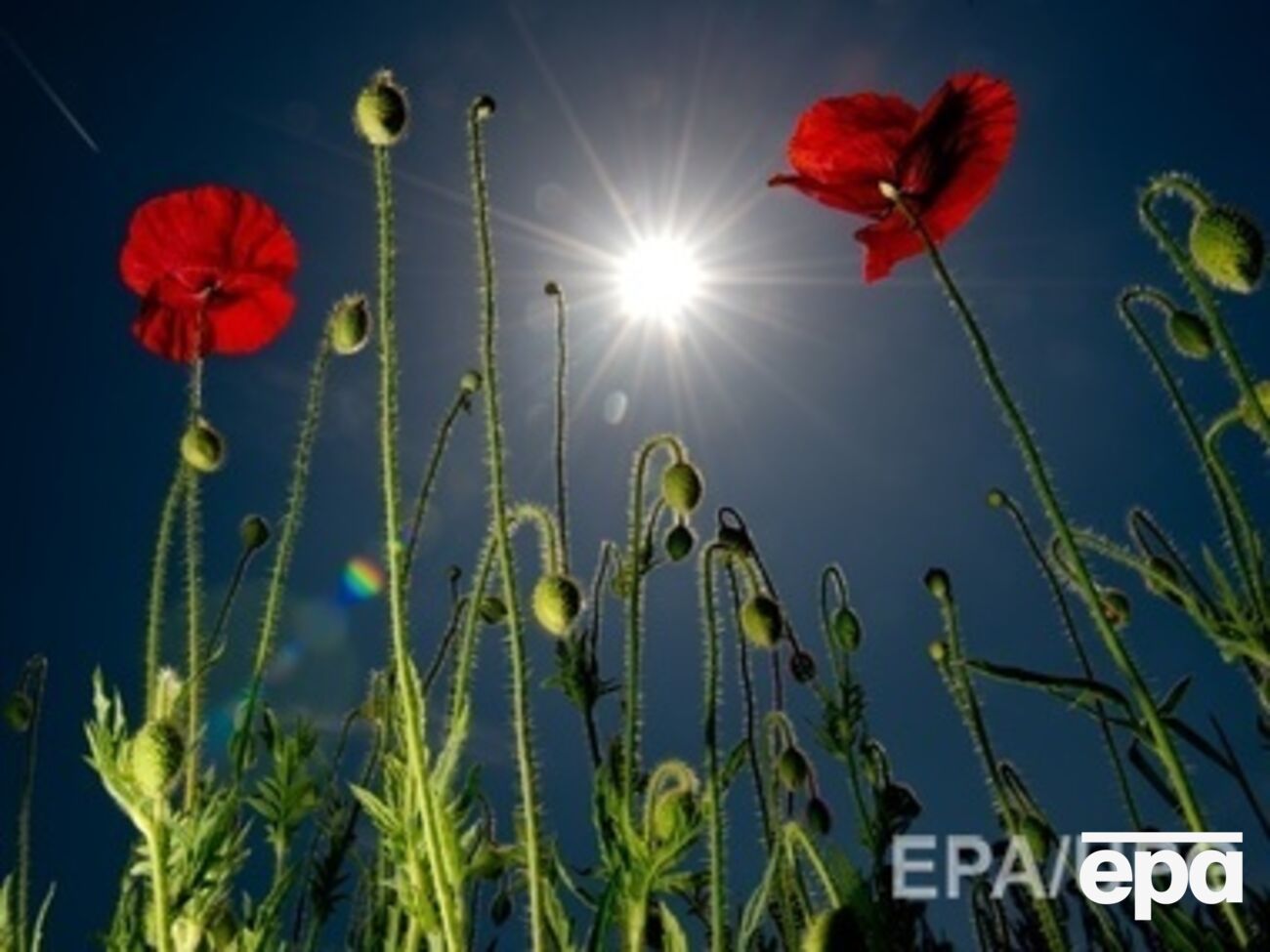 В Украине по-прежнему очень жарко