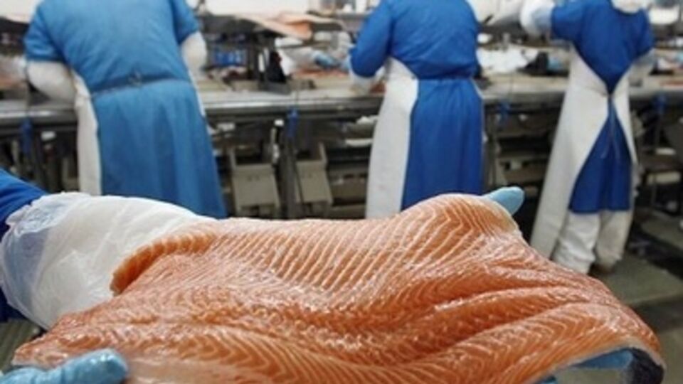 Красная рыба для россиян станет в два раза дороже