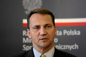 Сикорский считает, что конфликта на Донбассе можно было избежать