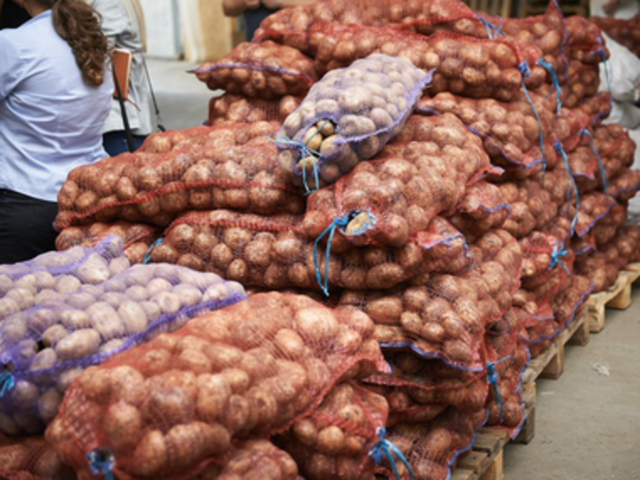 В первую очередь продукты получат малообеспеченные граждане и семьи с детьми