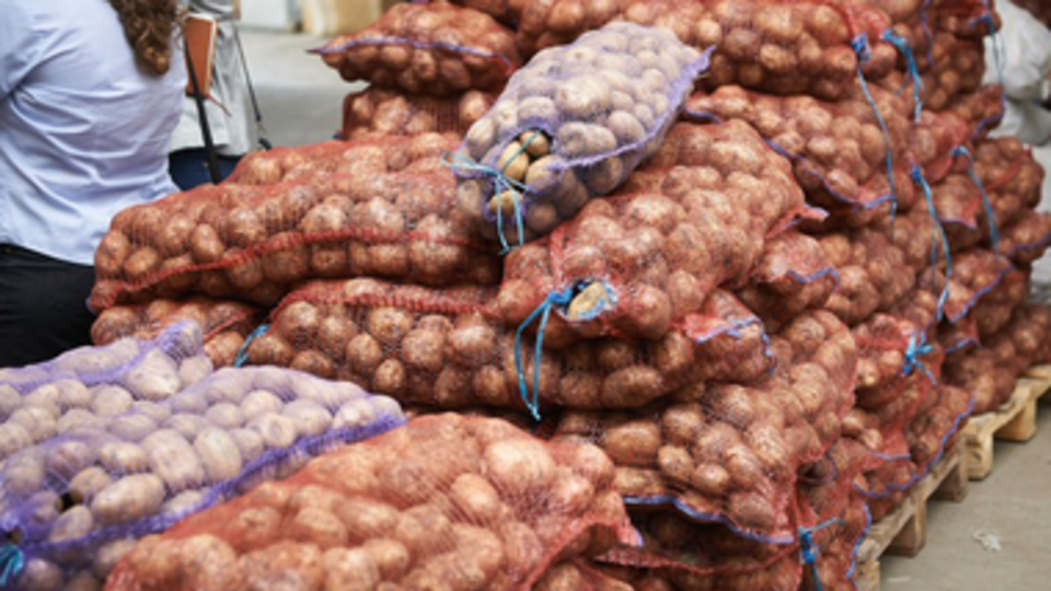 В первую очередь продукты получат малообеспеченные граждане и семьи с детьми