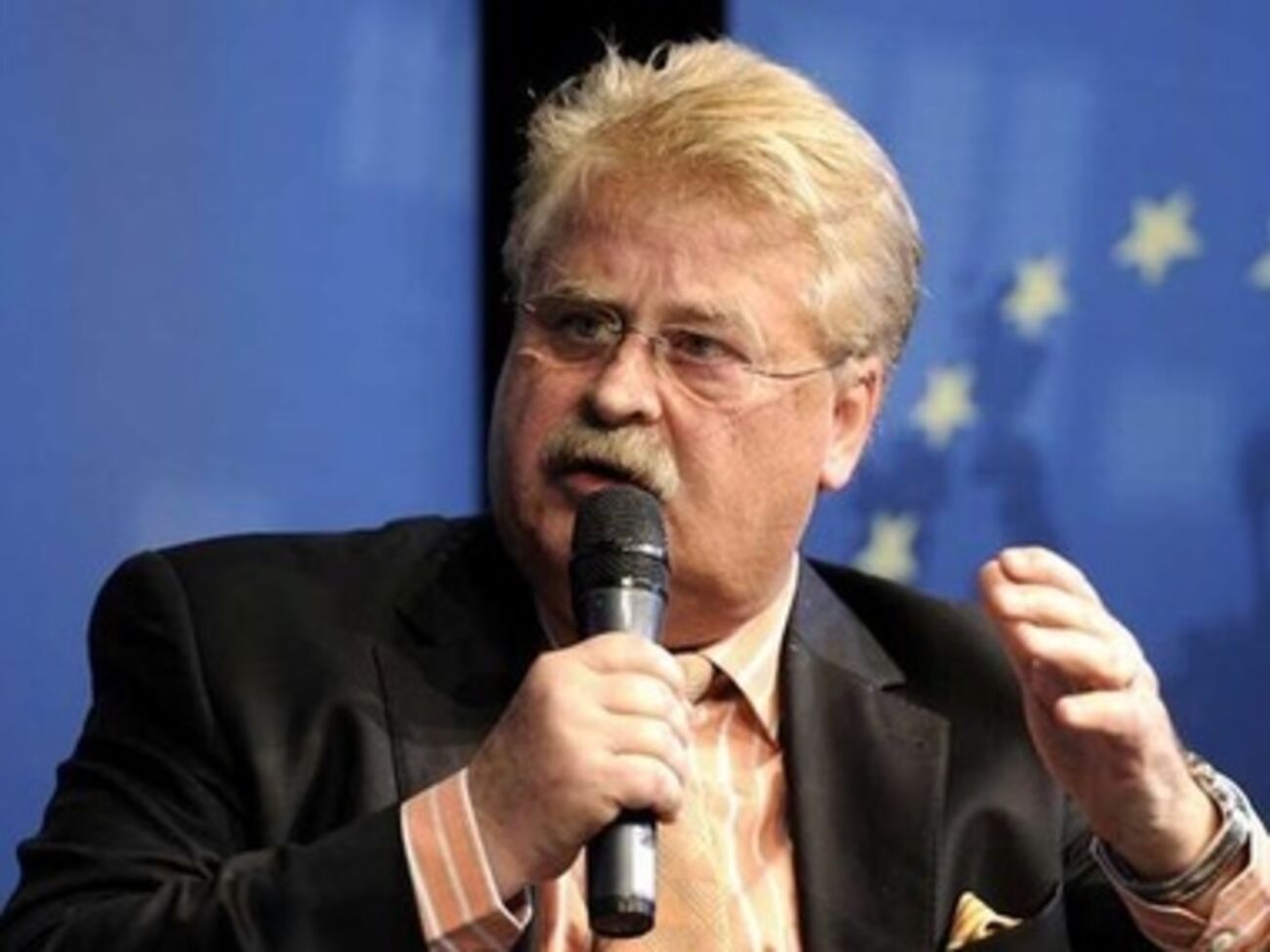 Элмар Брок считает отсрочку Соглашения шансом провести реформы для Украины