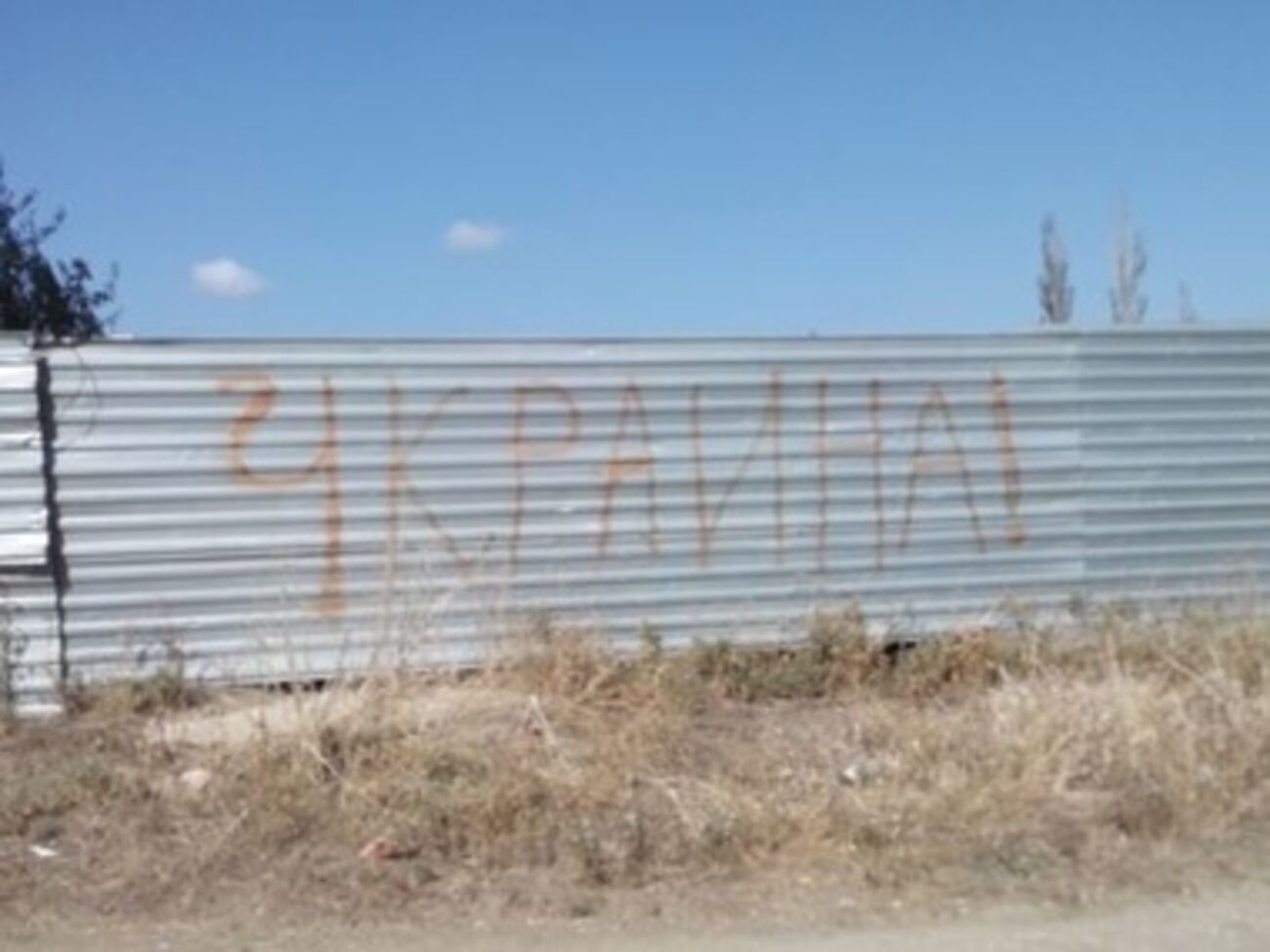 Крымчане протестуют против российских выборов