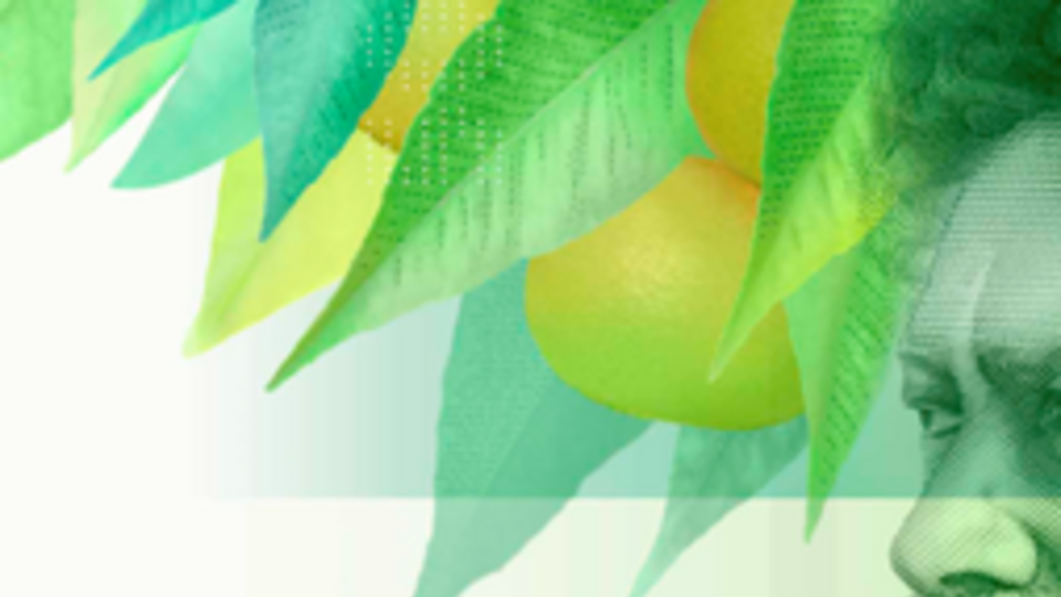 Саул Черниховский до 1931 года жил в Украине