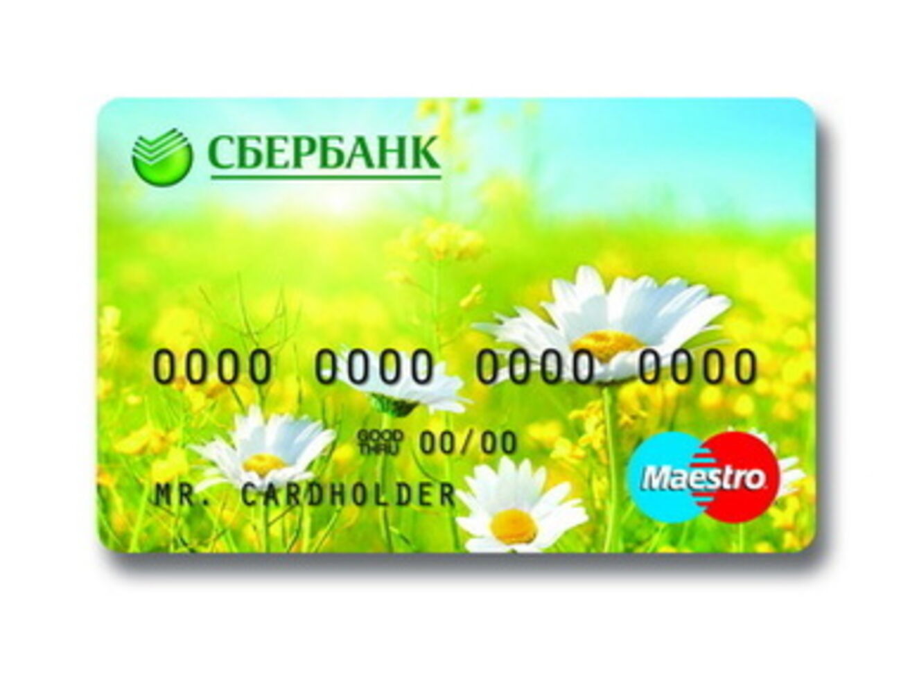 Зарплата на картах "Сбербанка России" оказалась в рублях