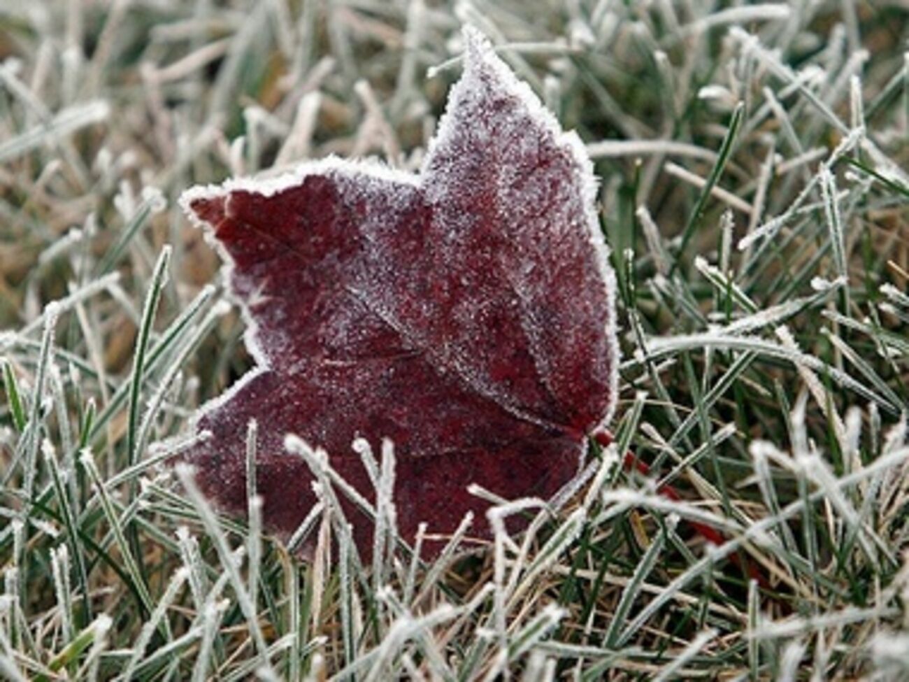 На этой неделе в Украине похолодает