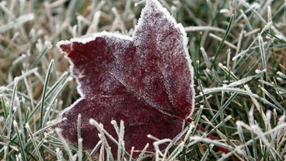 На этой неделе в Украине похолодает