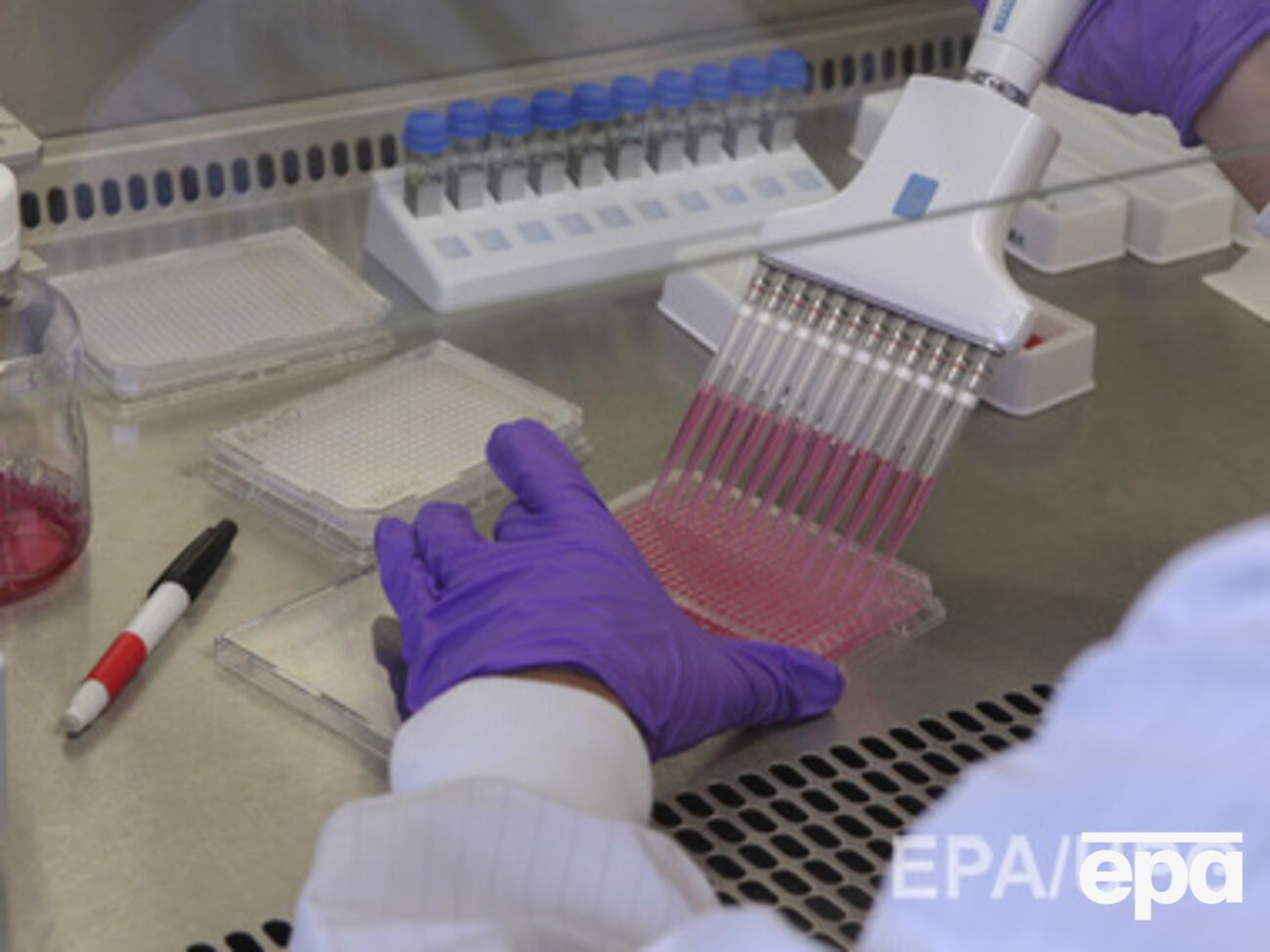 Начинаются испытания новой вакцины