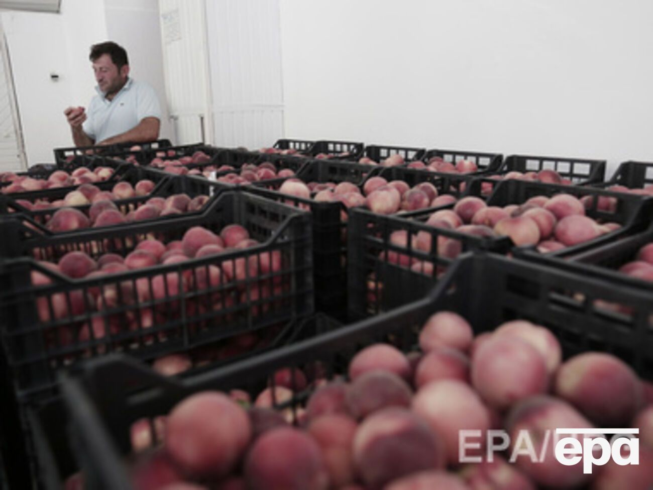 Торговые санкции РФ дестабилизируют внутренний рынок России