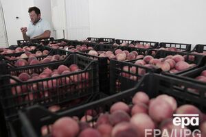 Торговые санкции РФ дестабилизируют внутренний рынок России