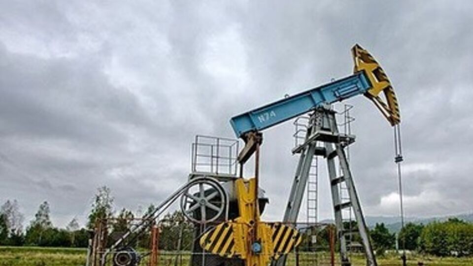 Перспективные ресурсы залежей достигают 600 тысяч тонн