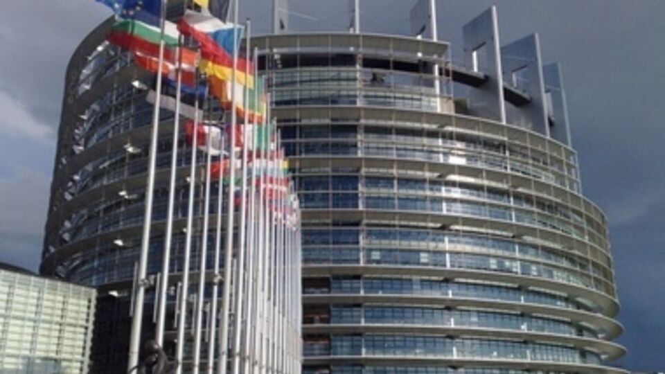 Резолюция Европарламента порадовала украинский МИД