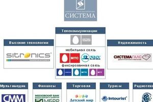 Арест олигарха может затруднить деятельность ряда связанных с ним компаний