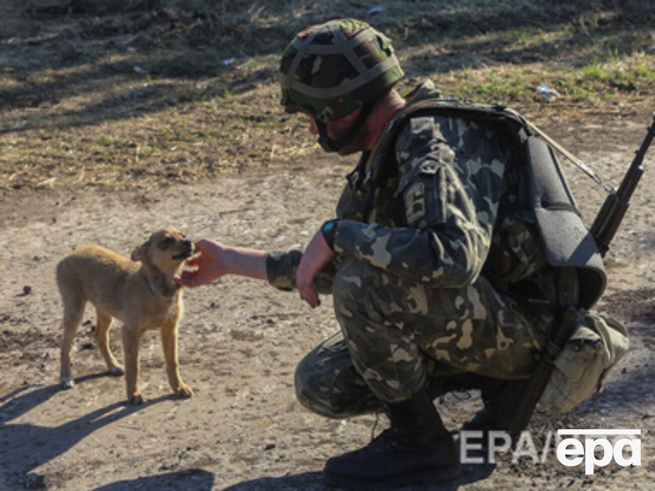 Украинские силовики гибнут несмотря на режим прекращения огня