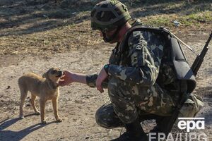 Украинские силовики гибнут несмотря на режим прекращения огня