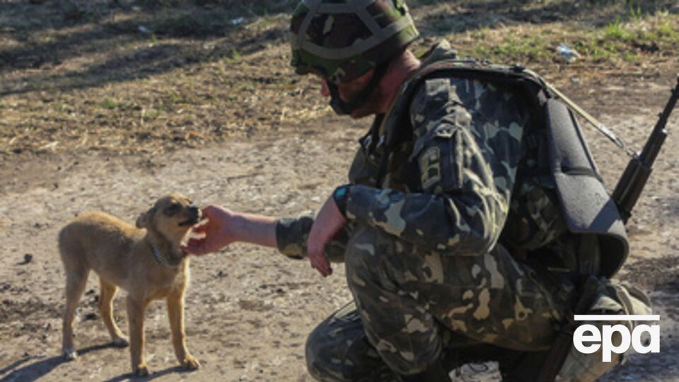 Украинские силовики гибнут несмотря на режим прекращения огня