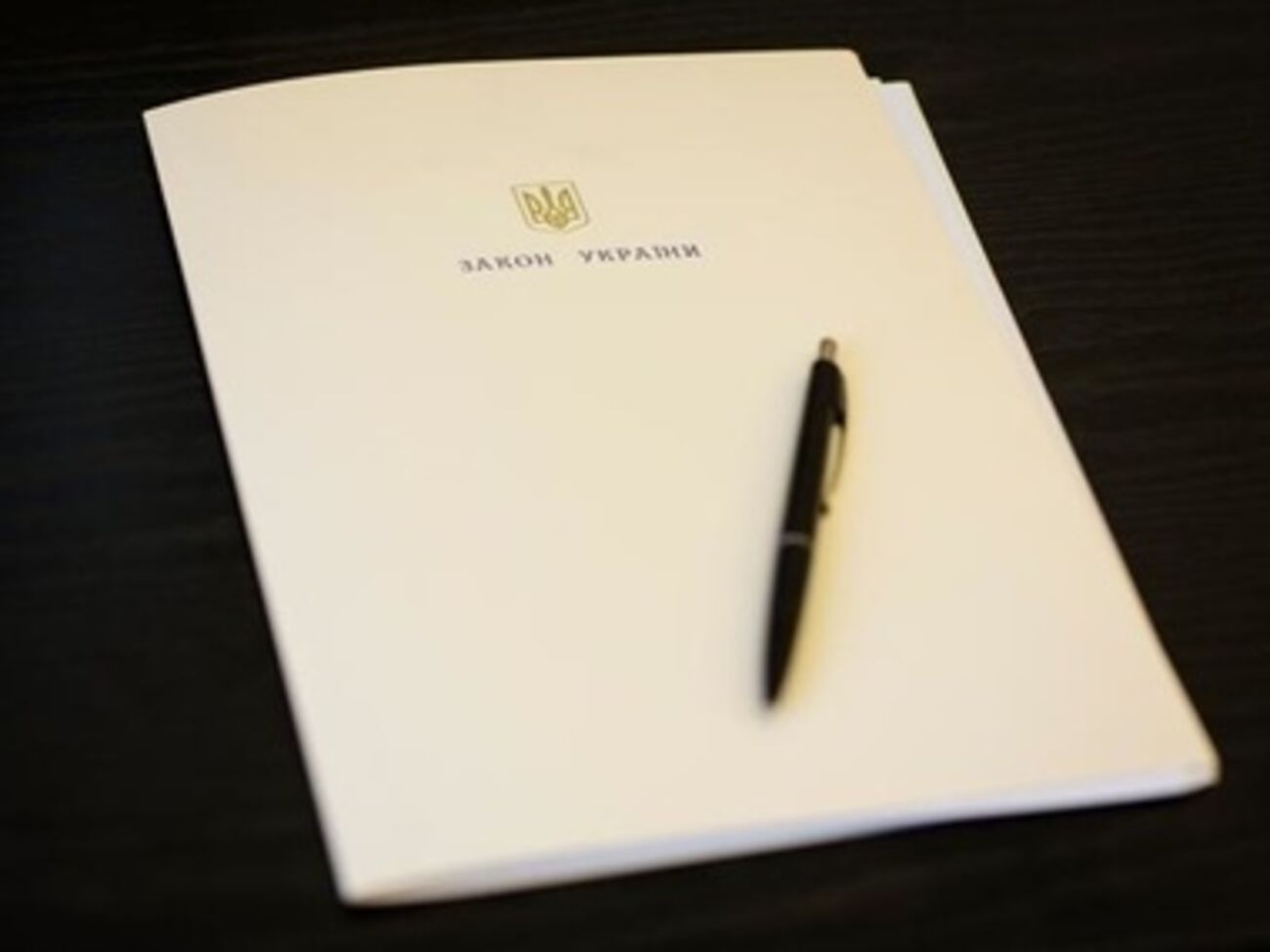 Среди подписанных &ndash; закон о социальной защите людей, награжденных Орденом Героев Небесной сотни