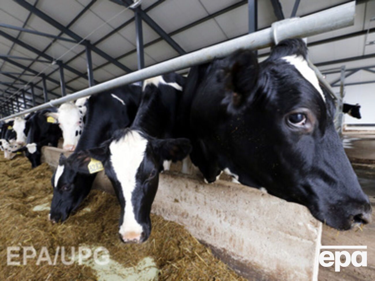 Россия продолжает ограничивать поставки разрешенных товаров из материковой Украины на территорию оккупированного полуострова