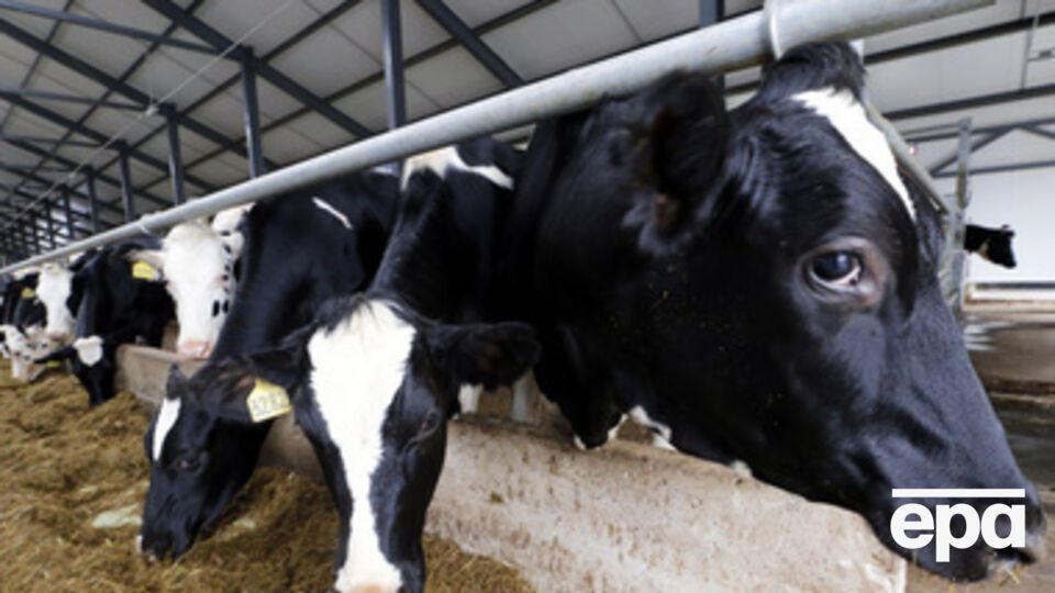 Россия продолжает ограничивать поставки разрешенных товаров из материковой Украины на территорию оккупированного полуострова